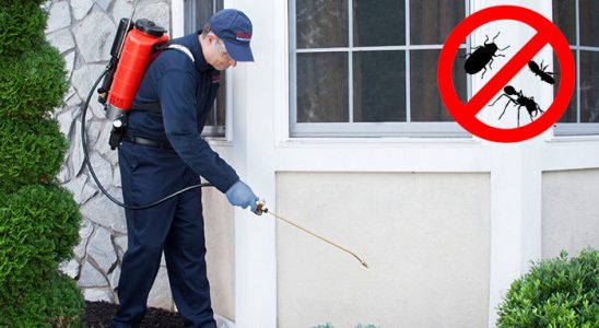 Çankırı Gümüşkurt İlaçlama böcek ilaçlama ve haşere kontrolü — ilaclama-tr.com